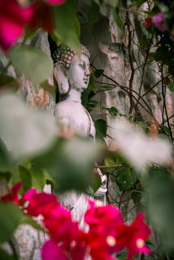Zen Garden Tamarindo - Adults Only Ξενοδοχείο Εξωτερικό φωτογραφία